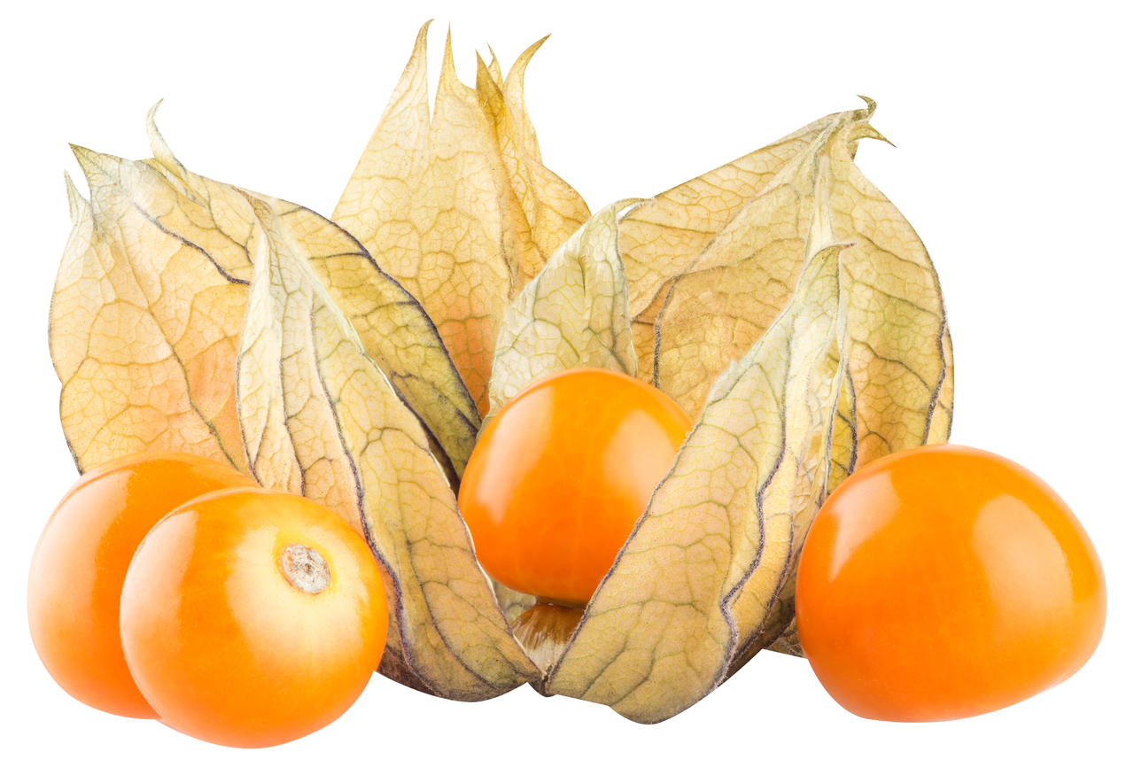 Physalis 100 g/doboz