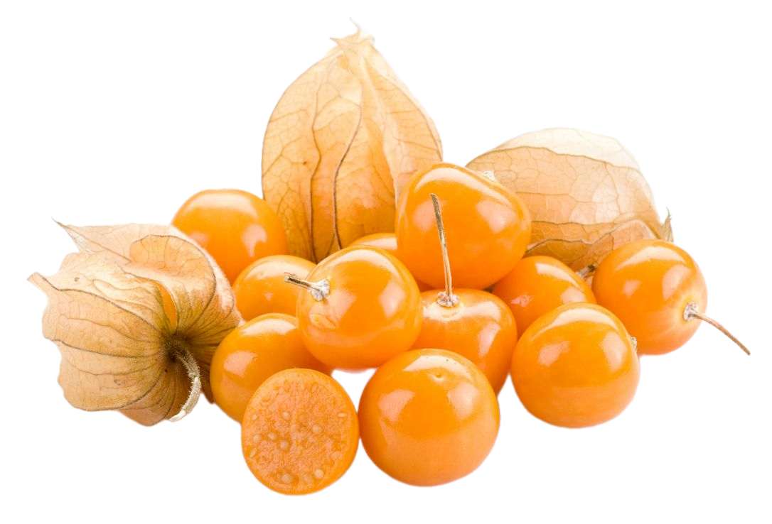Physalis 100 g/doboz